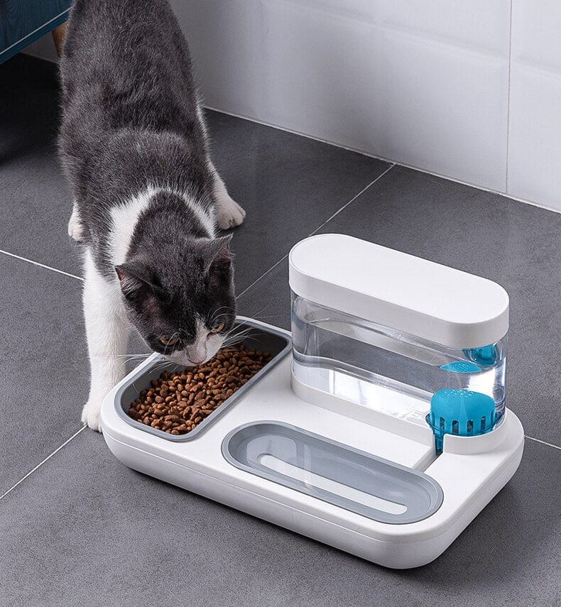 Automatic Feeder & Water Dispenser