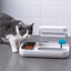 Automatic Feeder & Water Dispenser