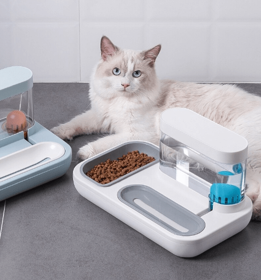 Automatic Feeder & Water Dispenser