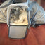 Airline Ready Dog & Cat Carrier