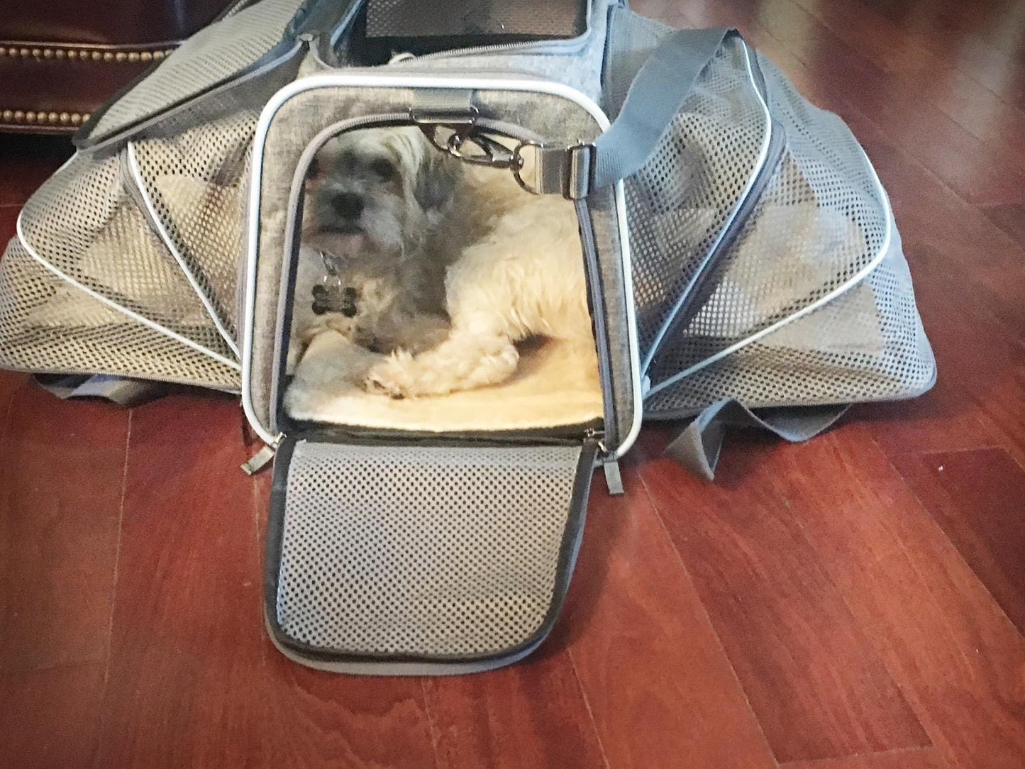 Airline Ready Dog & Cat Carrier