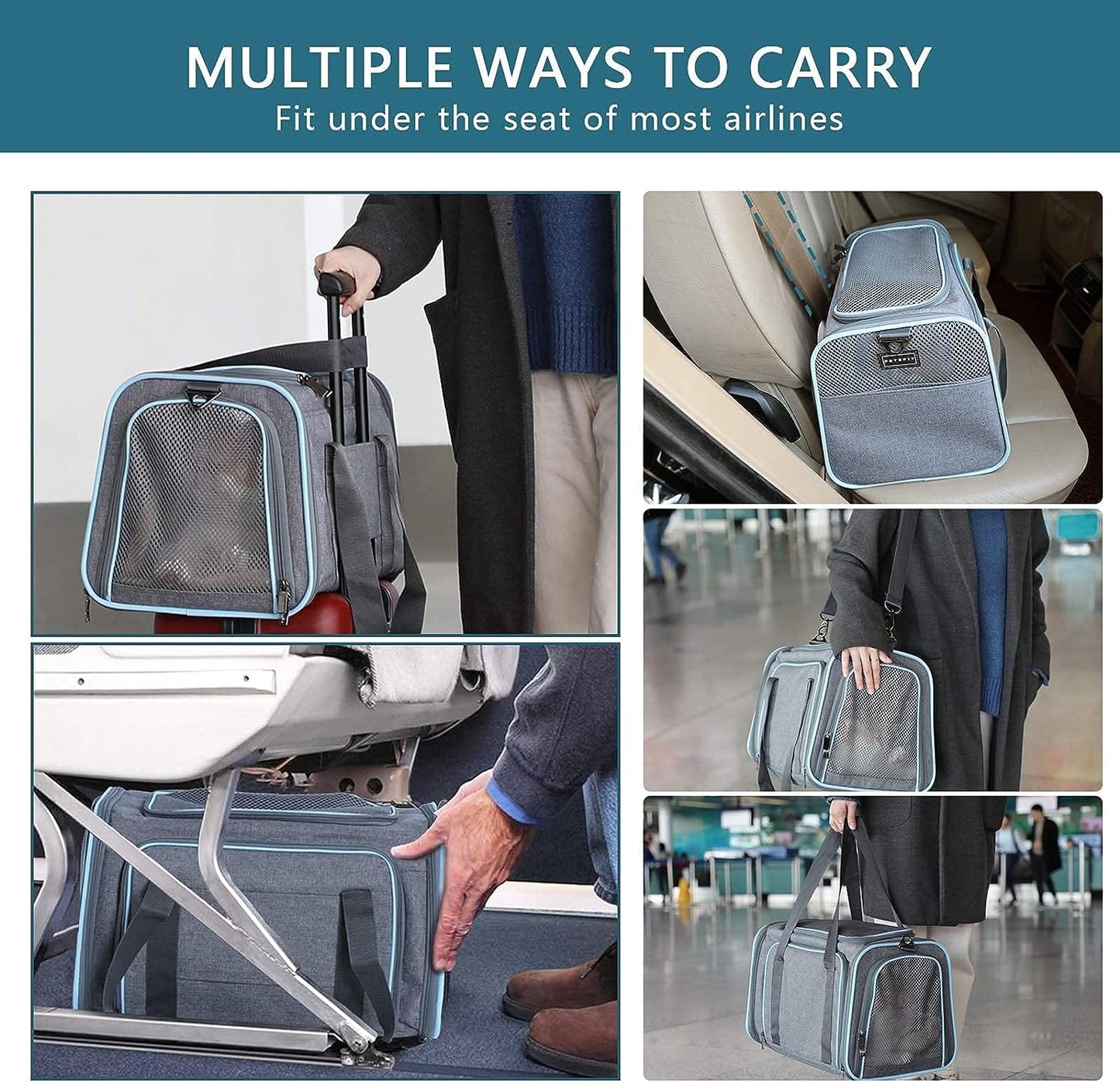 Airline Ready Dog & Cat Carrier