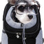 Companion Dog Backpack