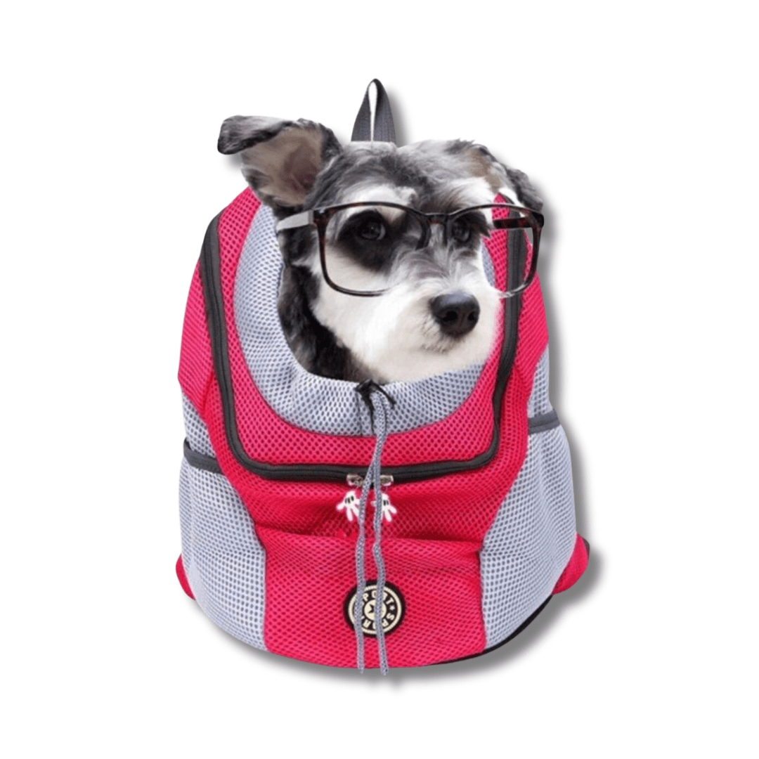 Companion Dog Backpack