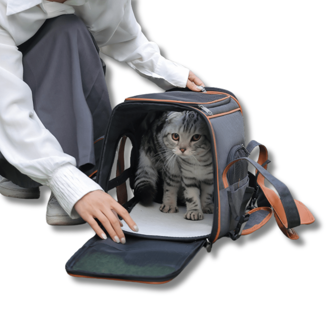 Travel Car Seat Pet Carrier