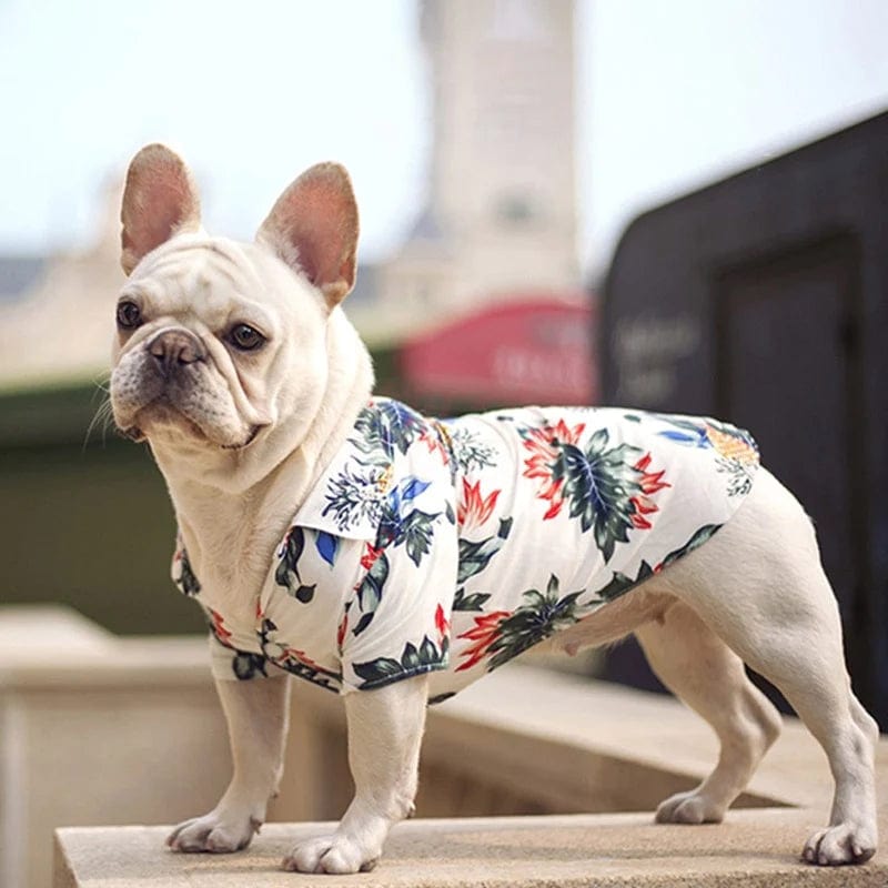 Aloha Dog Shirts