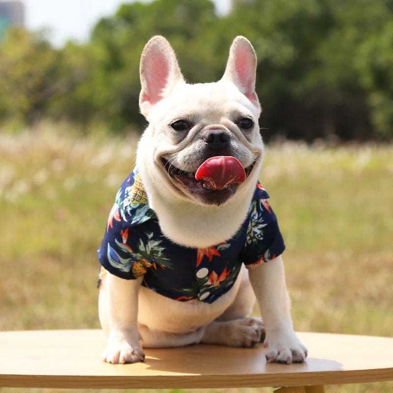 Aloha Dog Shirts