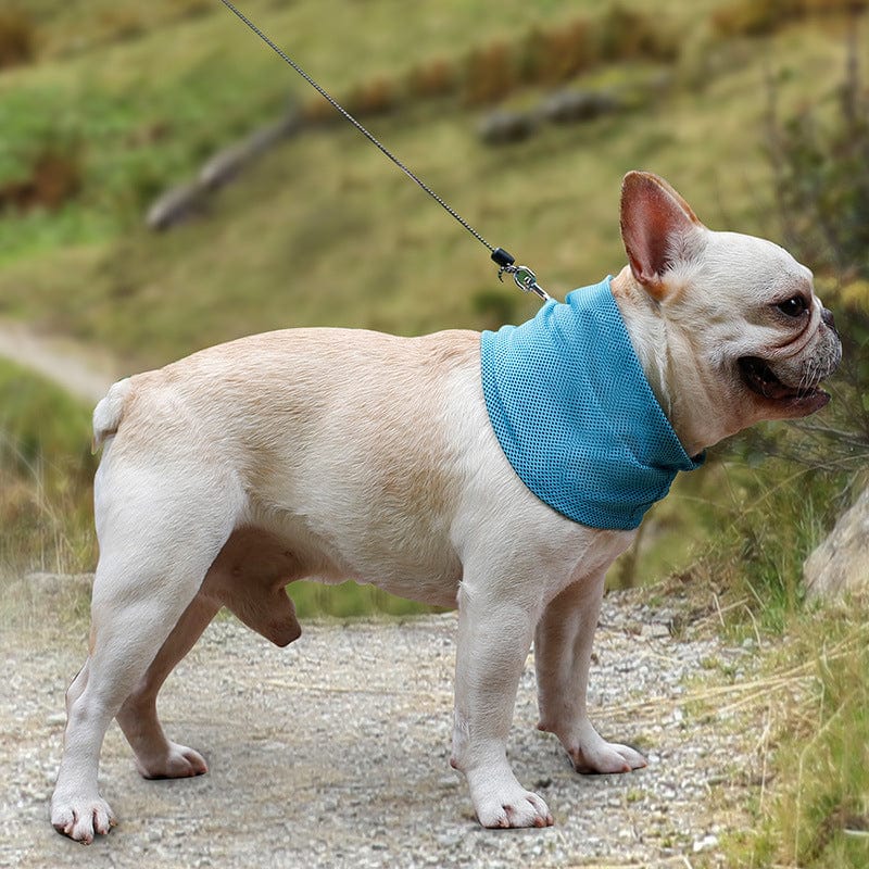 Cooling Dog Bandana