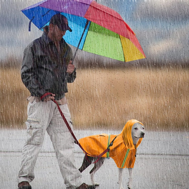 Reflective Dog Raincoat for Big Dogs