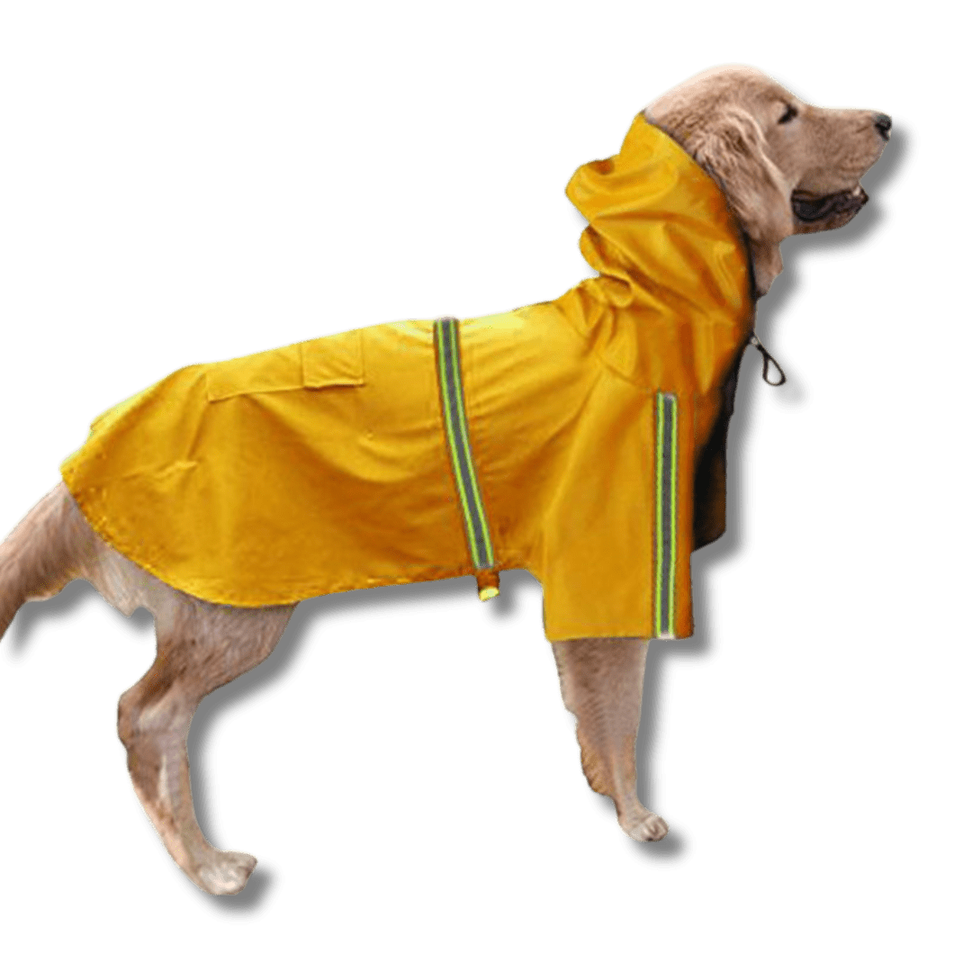 Reflective Dog Raincoat for Big Dogs