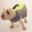 Reflective Life Jacket for Dogs