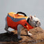 Reflective Life Jacket for Dogs