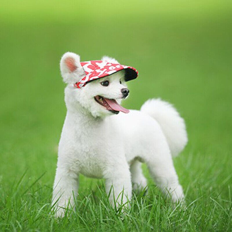 Retro Style Dog Hats