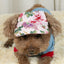 Retro Style Dog Hats