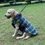 Reversible Warm Dog Coats