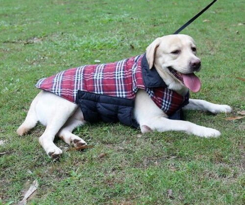 Reversible Warm Dog Coats