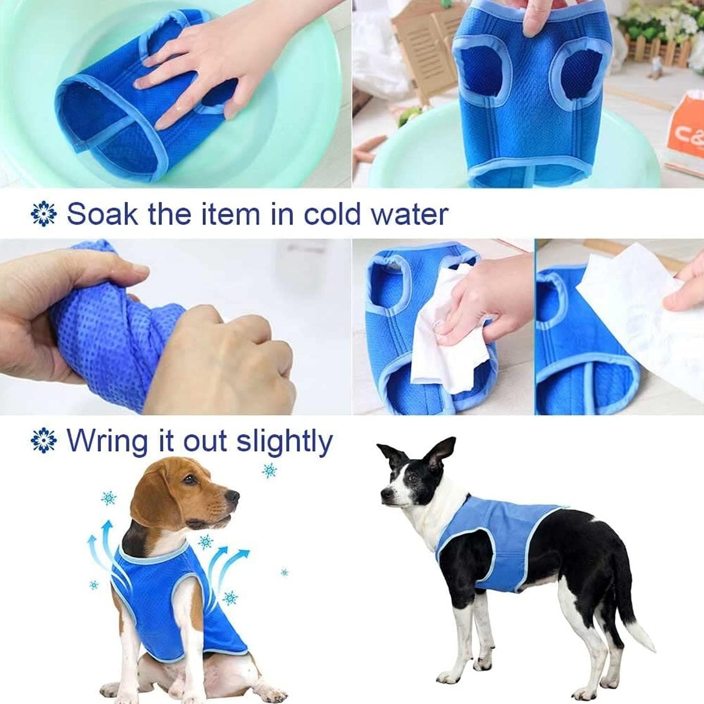 Summer Cooling Vest