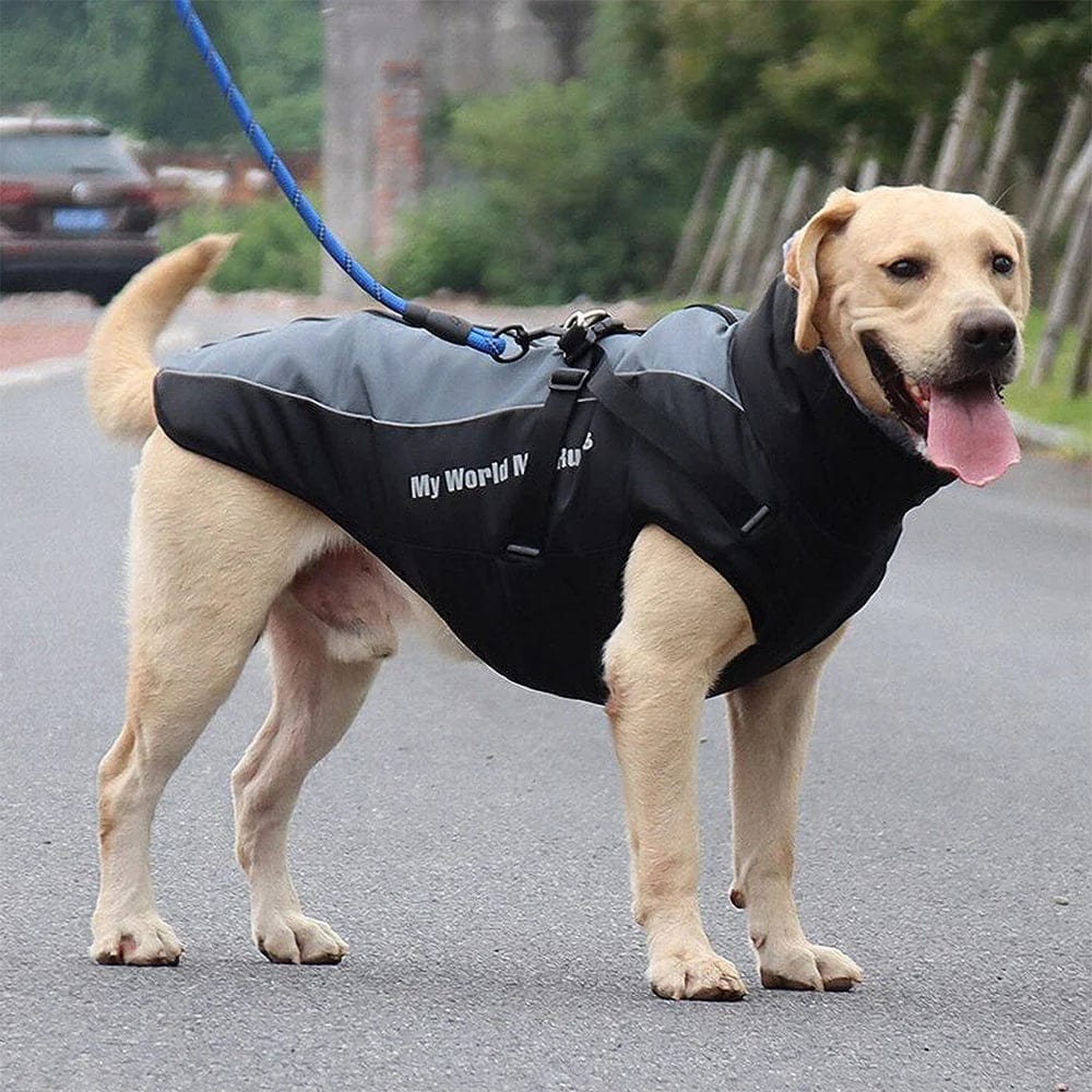 Winter Jacket with Harness & Faux Fur