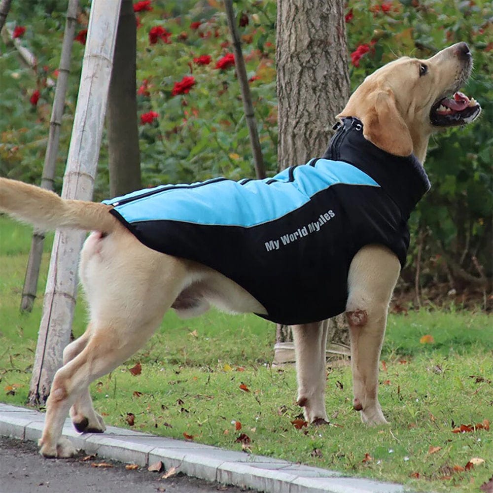 Winter Jacket with Harness & Faux Fur