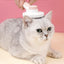 PurrfectClean Self-Cleaning Slicker Brush