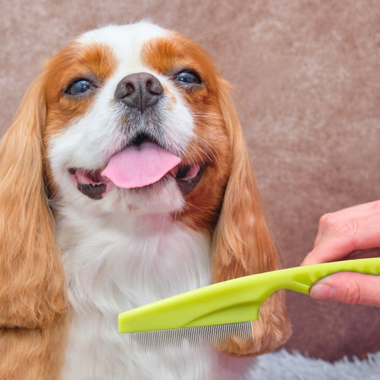 Stainless Pet Flea Comb