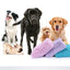 Super Absorbent Thick Dog Towel