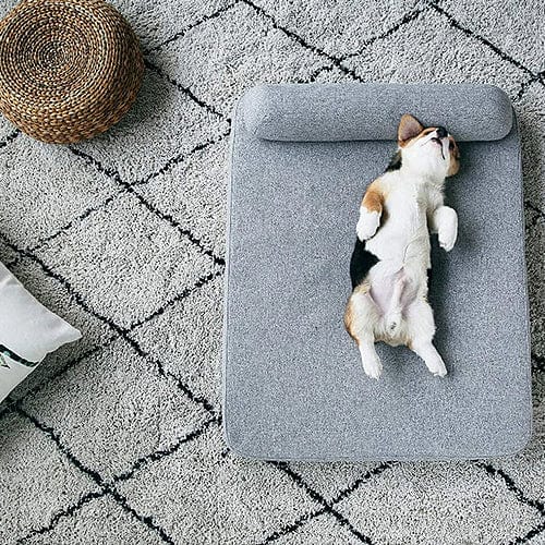 Deep Sleep Orthopaedic Dog Bed - Buddies Pet Shop