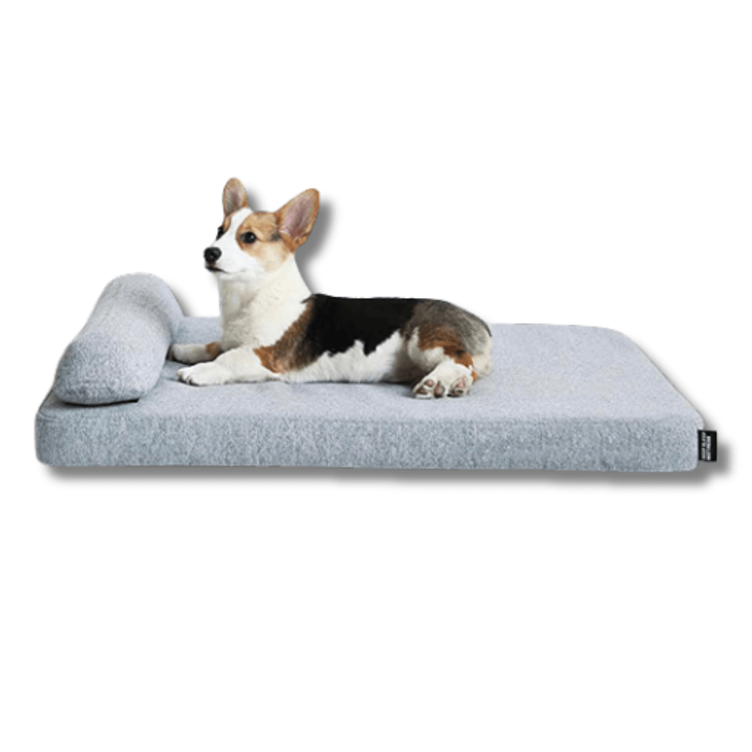 Deep Sleep Orthopaedic Dog Bed