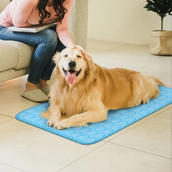 Pet Cooling Mat