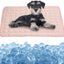 Pet Cooling Mat