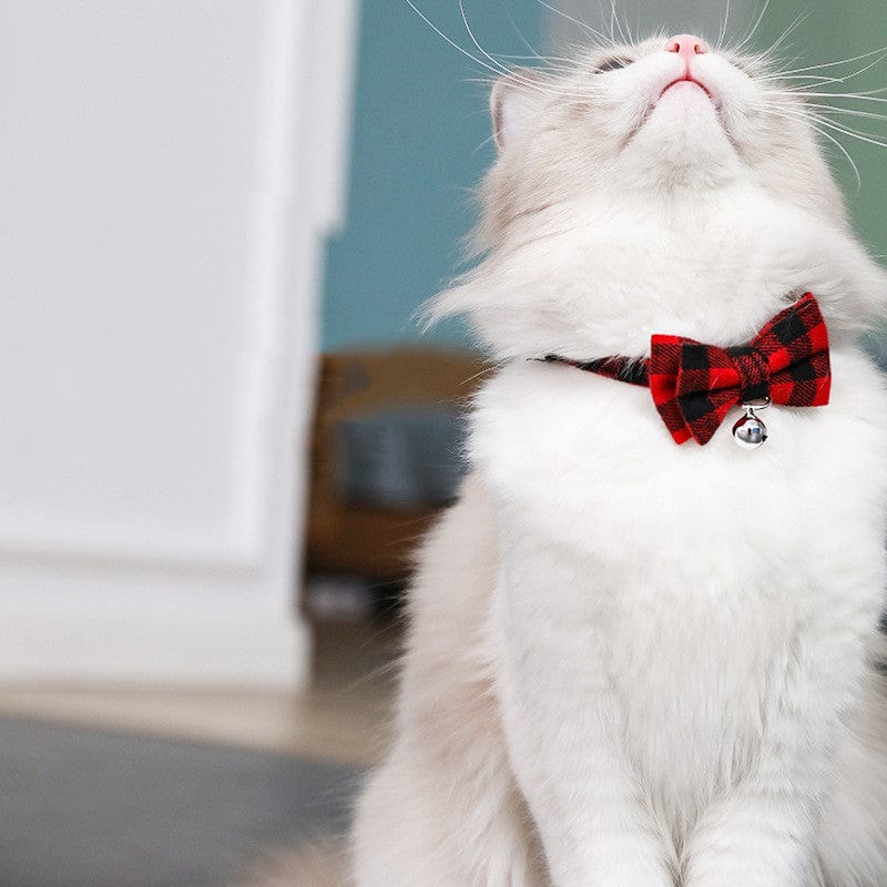 Bow Tie Cat Collar with Bell