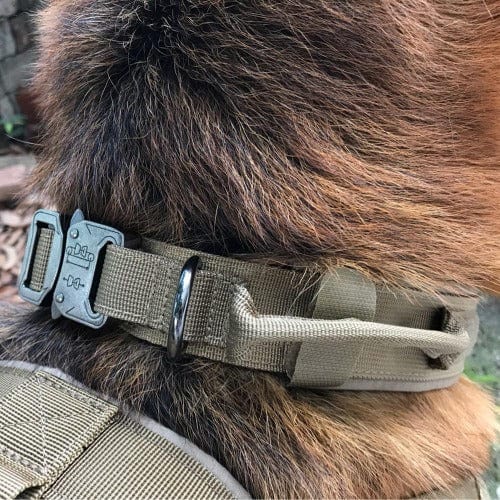 Durable Tactical Pull Collar - Buddies Pet Shop