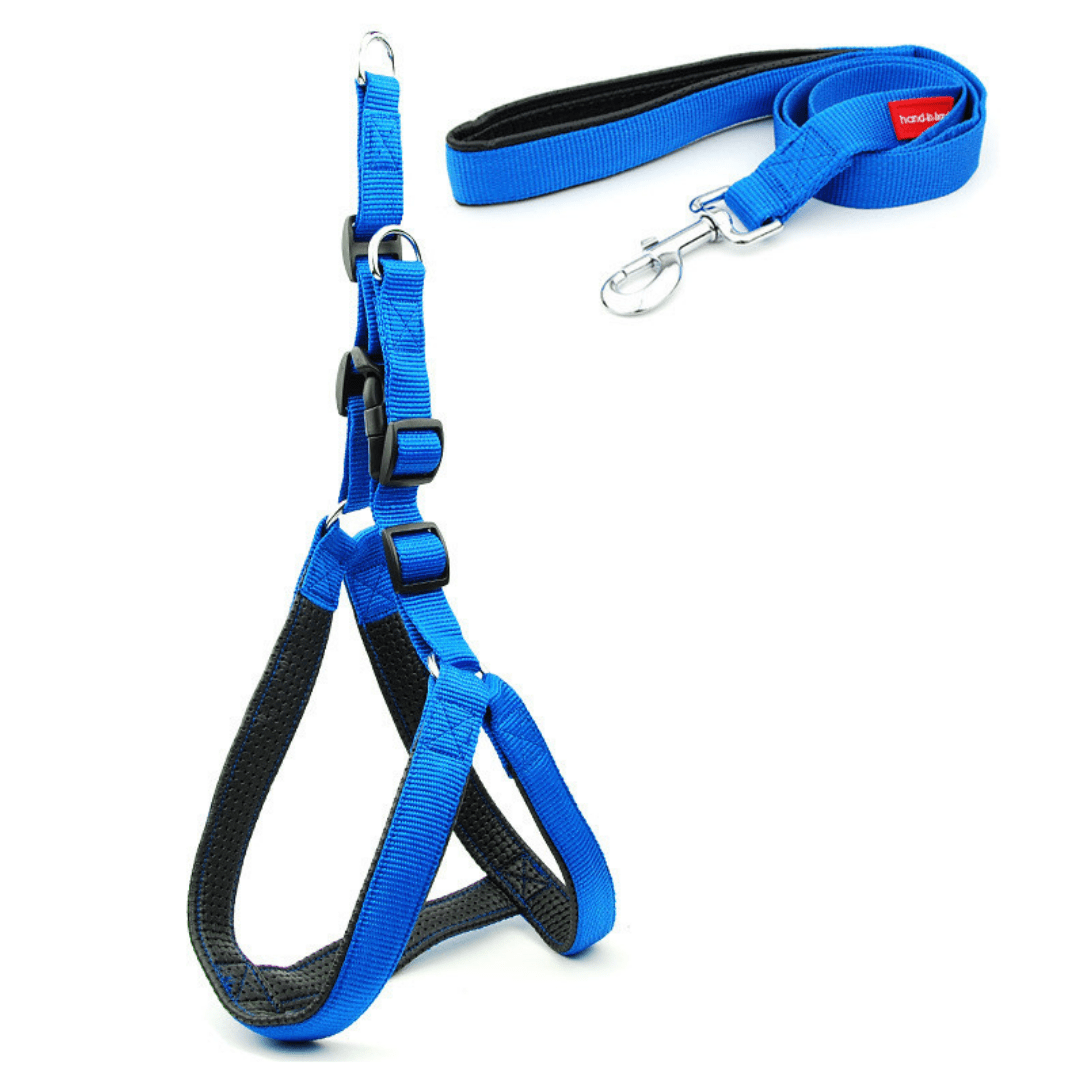 Ez On Nylon Harness