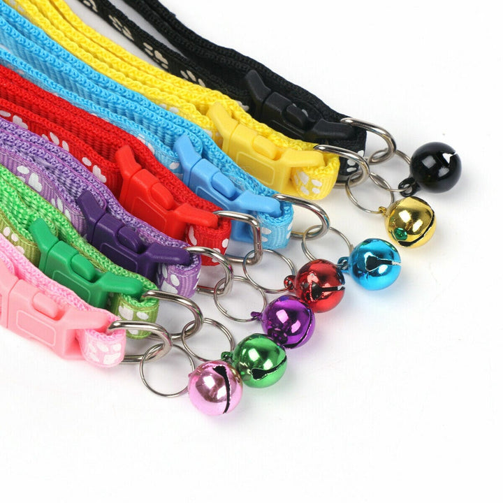 Paw Charm Pet Collars