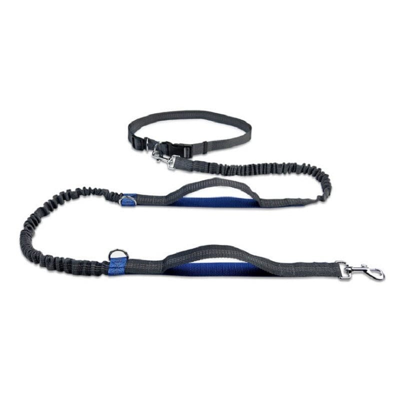 Pet Running Traction Leash