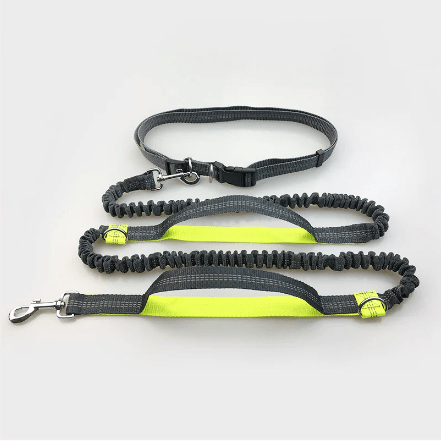 Pet Running Traction Leash