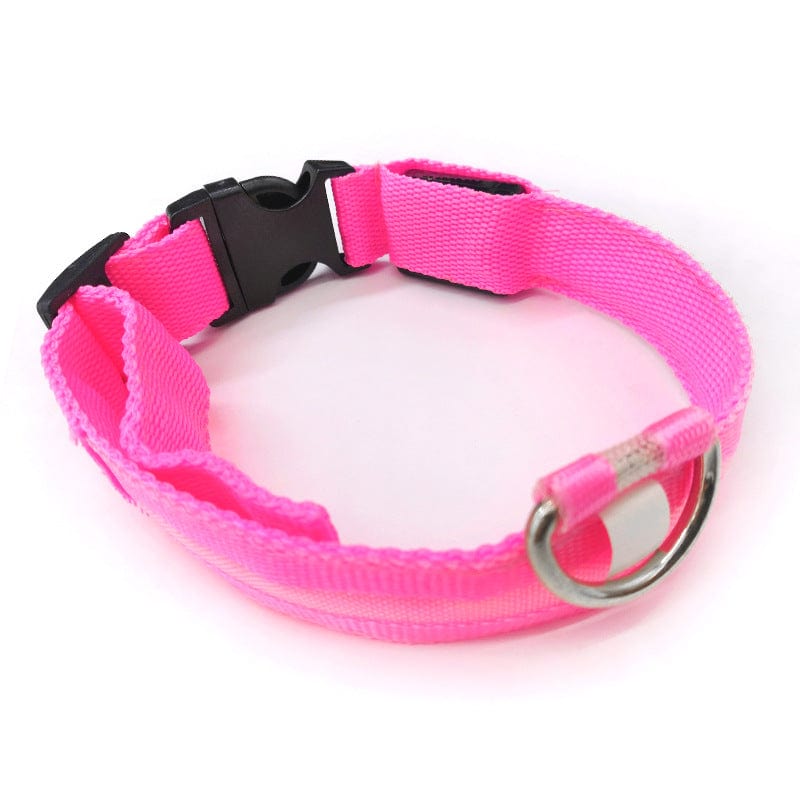 Safety LED light up Collars