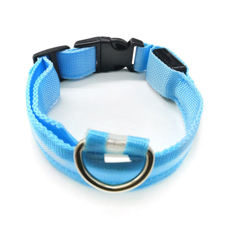 Safety LED light up Collars