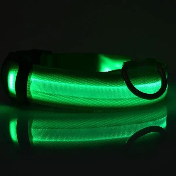 Safety LED light up Collars