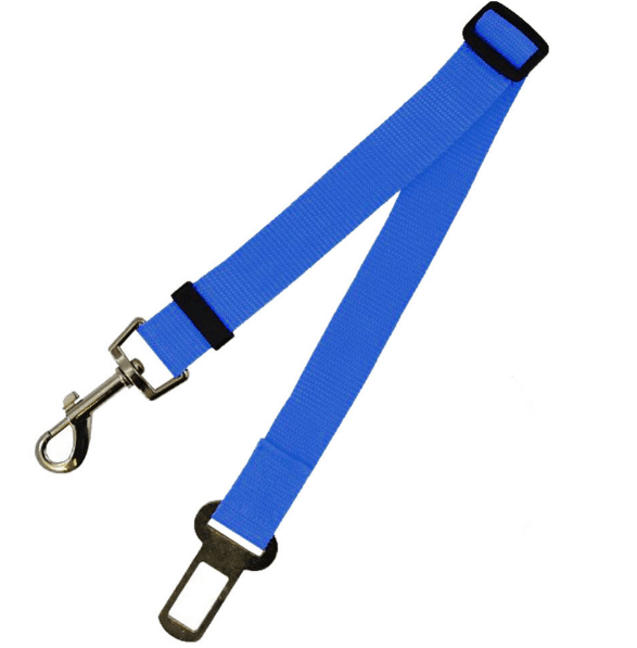 Seat Belt Safety Leash