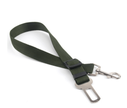 Seat Belt Safety Leash