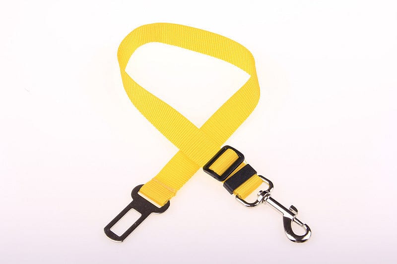 Seat Belt Safety Leash