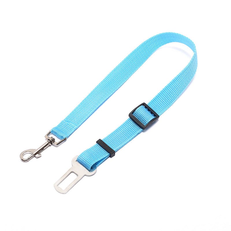 Seat Belt Safety Leash