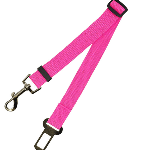 Seat Belt Safety Leash