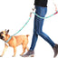 Trendy Personalisable Collar and Leash Sets