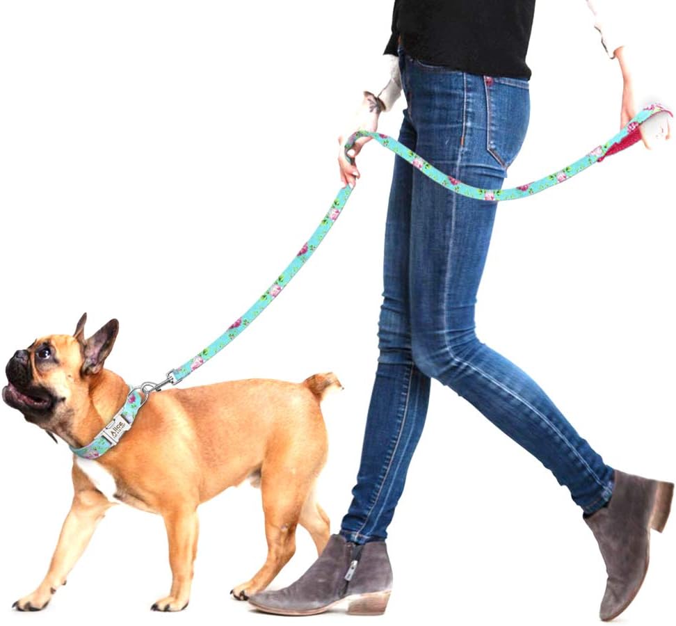 Trendy Personalisable Collar and Leash Sets