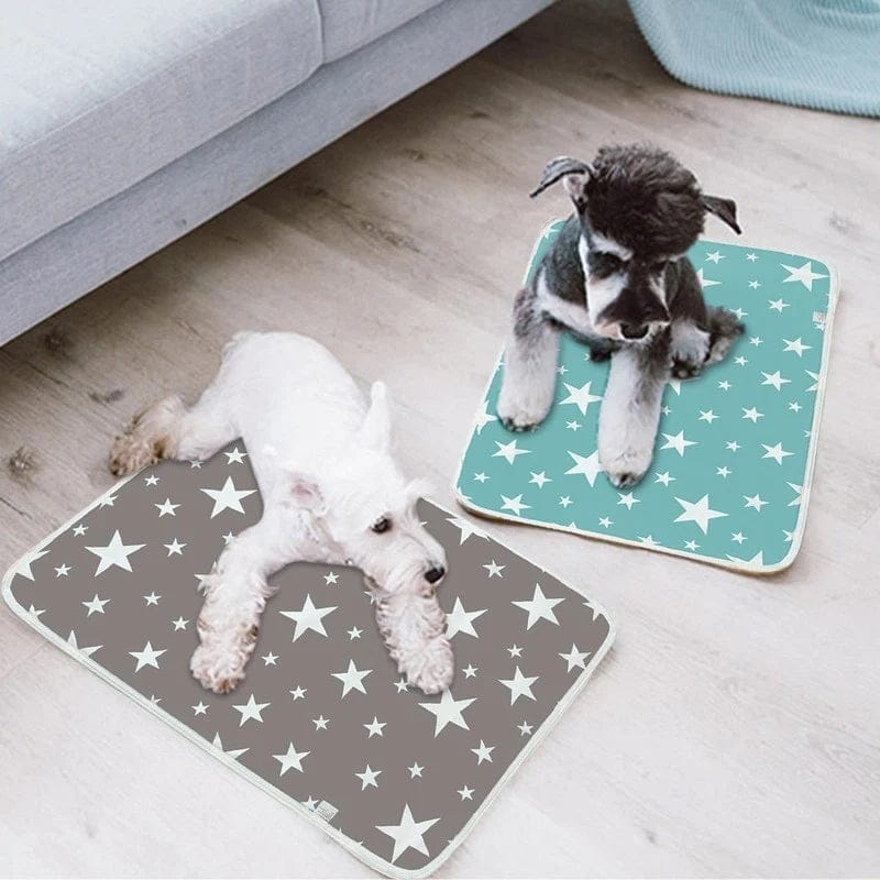 Washable Training Pee Pad