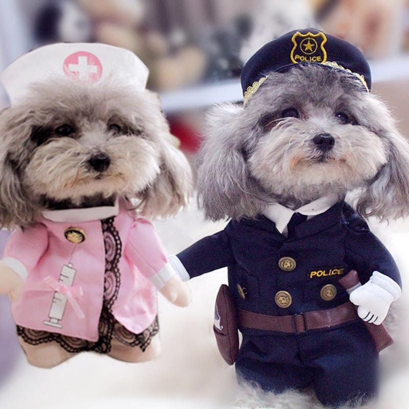 Halloween Costumes - Buddies Pet Shop