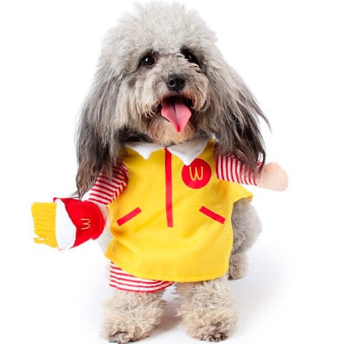 Halloween Costumes - Buddies Pet Shop