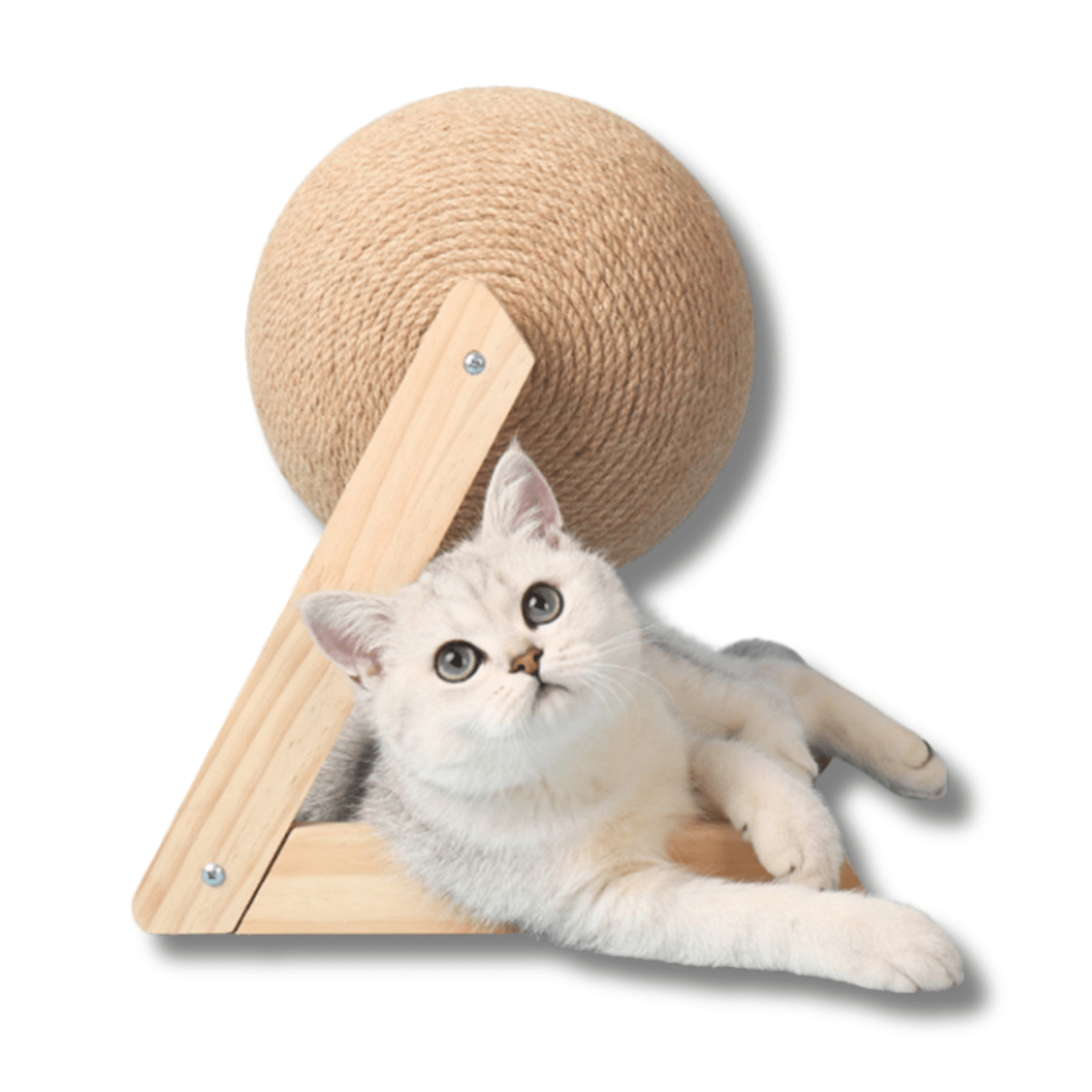 Rolling Cat Scratching Toy